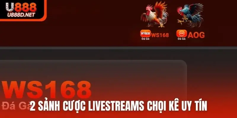 2 sảnh cược livestreams chọi kê uy tín