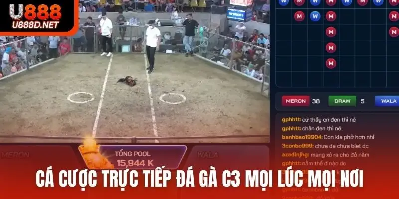 Cá cược trực tiếp đá gà C3 mọi lúc mọi nơi