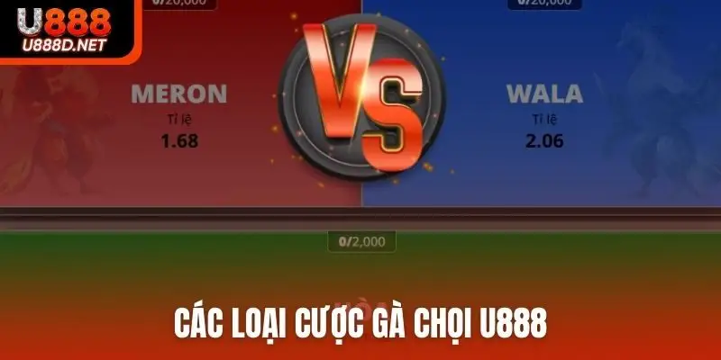 Các loại cược gà chọi U888
