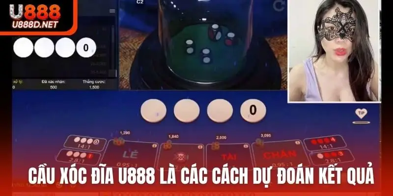 Cầu xóc đĩa U888 là các cách dự đoán kết quả
