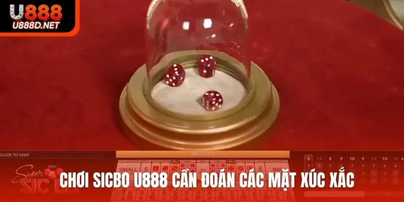 Chơi Sicbo U888 cần đoán các mặt xúc xắc