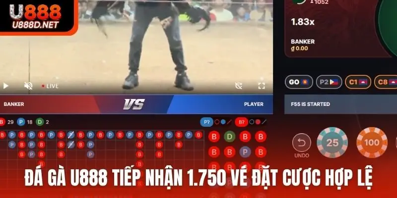 Đá gà U888 tiếp nhận 1.750 vé đặt cược hợp lệ