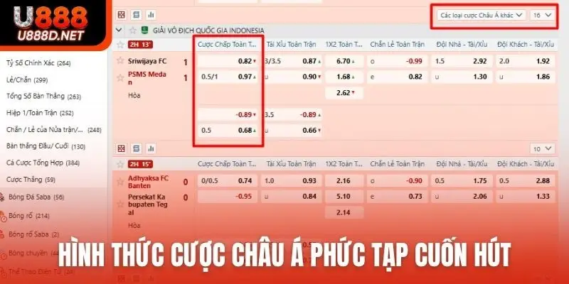 Hình thức cược châu Á phức tạp cuốn hút