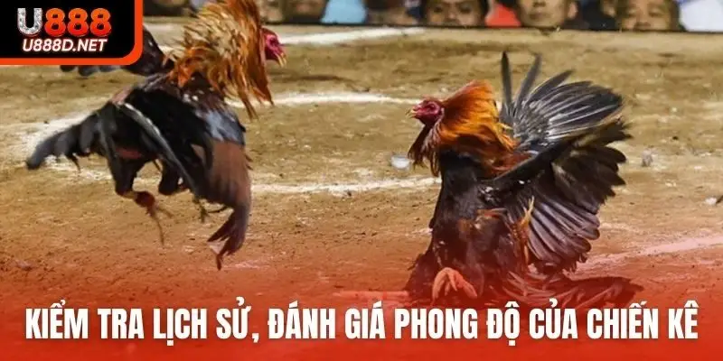 Kiểm tra lịch sử, đánh giá phong độ của chiến kê