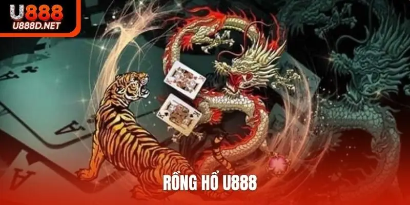 Rồng hổ U888